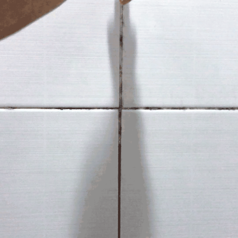 Mold Remover Gel (1 tube)