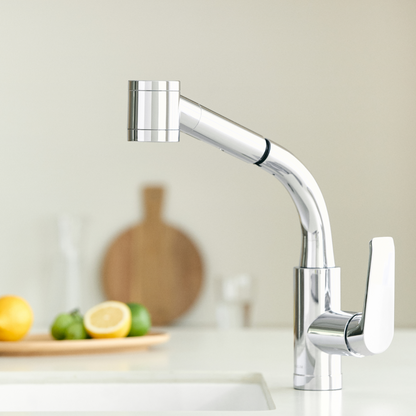 Metallic Kitchen Tap | Filters