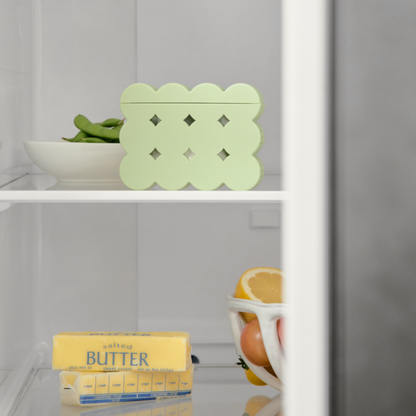 Breezy Fridge Deodorizer (NEW!)